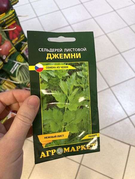 сельдерей листовой Джемни